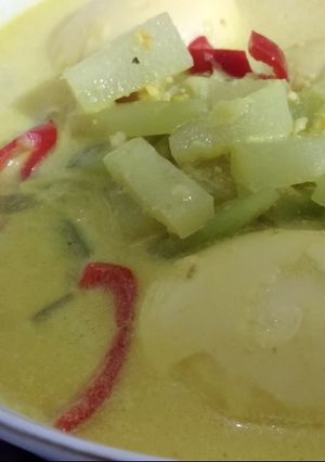 Foto resep Sayur Santan Labu Siam dan Telur
