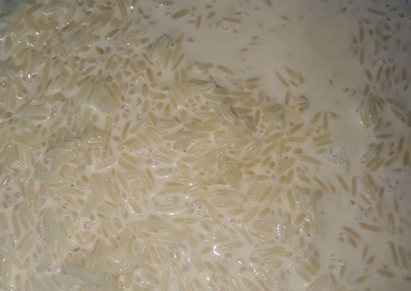Arroz con leche