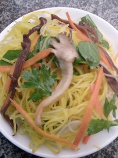 Hình của món Miến trộn chay.