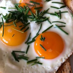 Egg and Toast Brunch A picture of Egg and Toast Brunch.