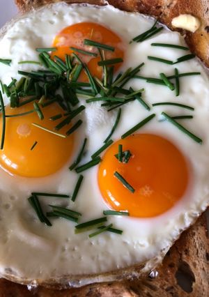 A picture of Egg and Toast Brunch.