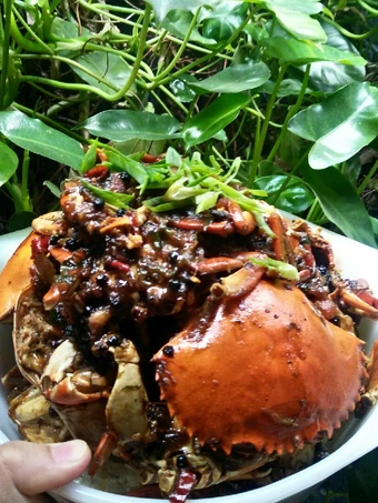 Cara Mudah Membikin Resep Kepiting Lada Hitam yang Lezat Sekali Anti Ribet, Lezat