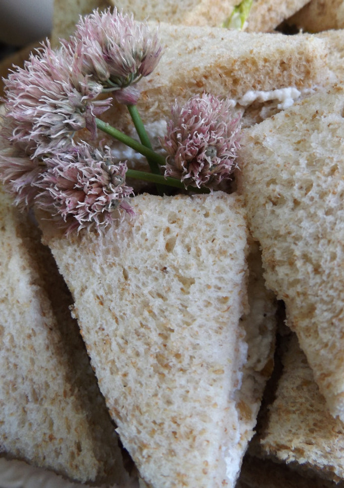 Una foto de Sándwiches de queso de cabra con ricotta y nueces con cúrcuma