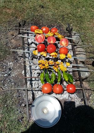 عکسی از دستور جوجه روی ذغال