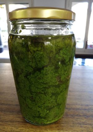A picture of Pesto of basil and pine nuts.