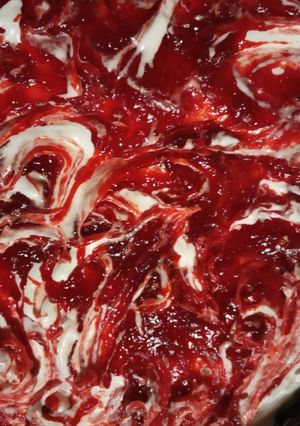 Foto di Cheesecake sperimentale con meringa e fichi d'india