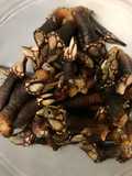 Percebes y bígaros cocidos