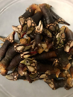 Una foto de Percebes y bígaros cocidos
