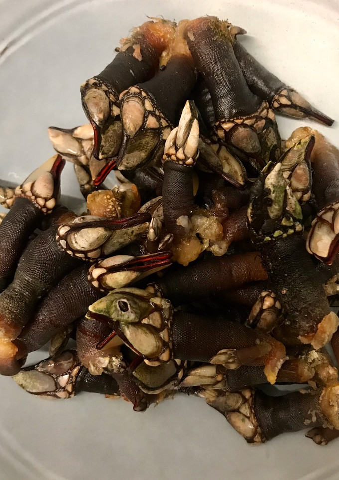 Una foto de Percebes y bígaros cocidos