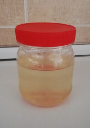 عکسی از دستور گلوکز خانگی