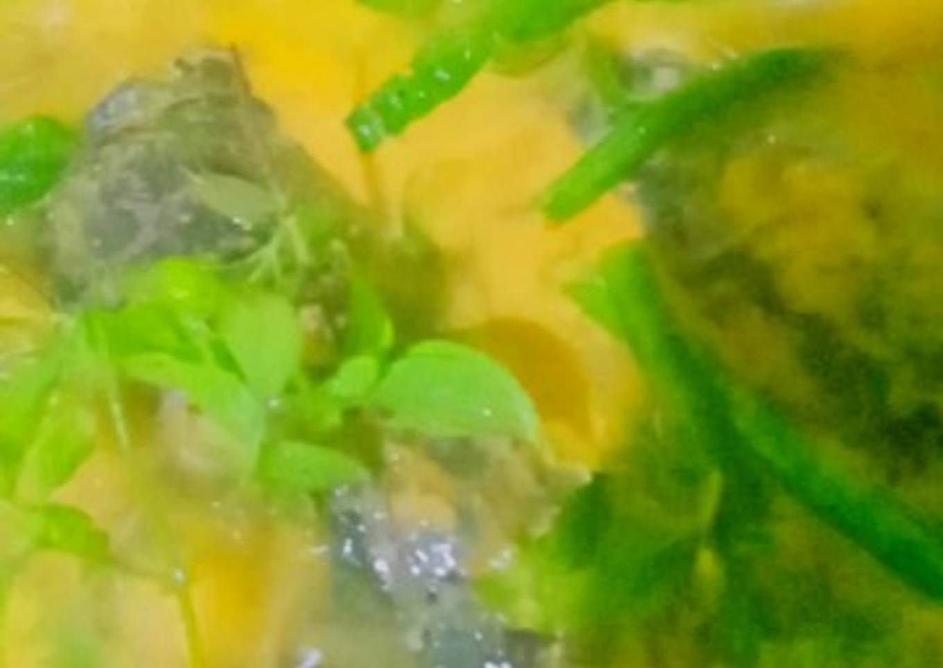 Gulai Kepala Ikan KaPaRu (Kacang Panjang Ruku)