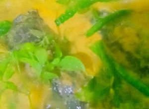 Foto resep Gulai Kepala Ikan KaPaRu (Kacang Panjang Ruku)