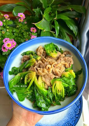 Hình của món Mầm Bắp Cải Xào Thịt Bò.