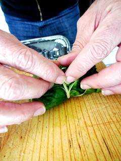 Una foto de Rollitos mexicanos veganos de hoja santa y hongos, receta prehispánica