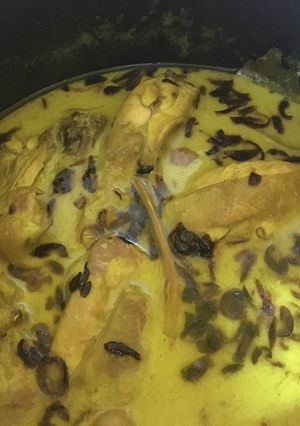 Foto resep Opor Ayam Pemula