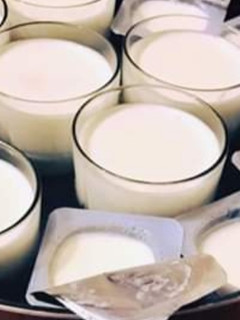 صورة لوصفة طريقه عمل الزبادي الساده والفاكهه