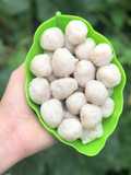 Bakso ikan belida