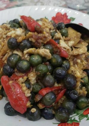 Foto resep Tumis Leunca anti pahit