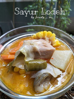 Foto resep Sayur Lodeh