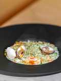 Risotto con Vongole e Salmone
