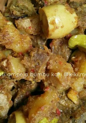 Foto resep Kentang Ati Ampela Bumbu Kari