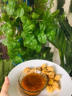 Foto resep Cumi Crispy Saus Padang