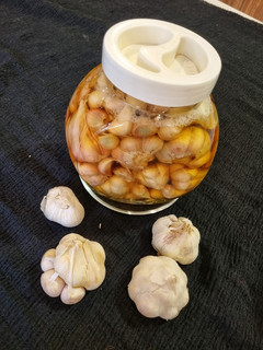 عکسی از دستور سیر ترشی