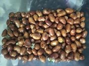 Hình ảnh của đậu phộng rang muối đường