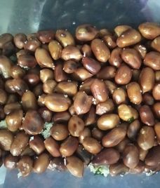 đậu phộng rang muối đường