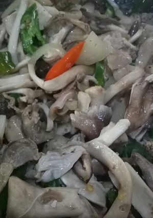 Foto resep Tumis jamur sawit hati ampela#herlinwidodo