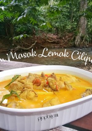 Gambar Ayam Masak Lemak Cilipadi