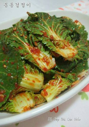 Hình của món Kim Chi cải bẹ xanh muối xổi 봄동겉절이.