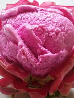Foto resep Dragon Ice Cream