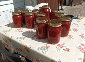 Foto di Conserva di pomodoro