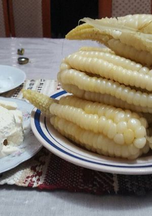 Una foto de Cholo con queso