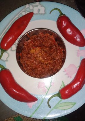 લાલ મરચાં અને ખજૂર ની ચટણી (Lal Marcha Khajoor Chutney Recipe In Gujarati) રેસીપી મુખ્ય ફોટો