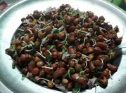 A picture of sprouted chickpea