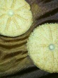 صورة لوصفة معمول العيد