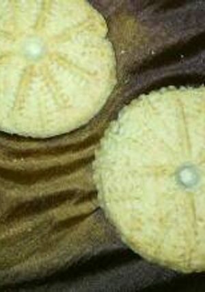 صورة لوصفة معمول العيد