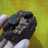 Oat Choco almond Soft cookies with teflon
