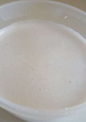 A picture of DIY Coconut Milk.
