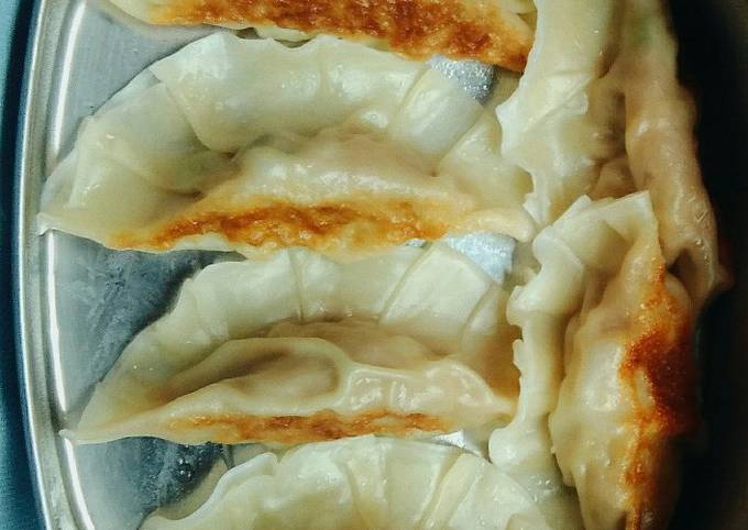 Resep Gyoza Mandu Potsticker Halal Oleh Putri Cookpad