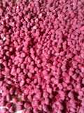Baobab seeds