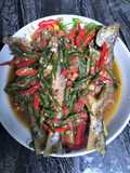 Tauco ikan senangin