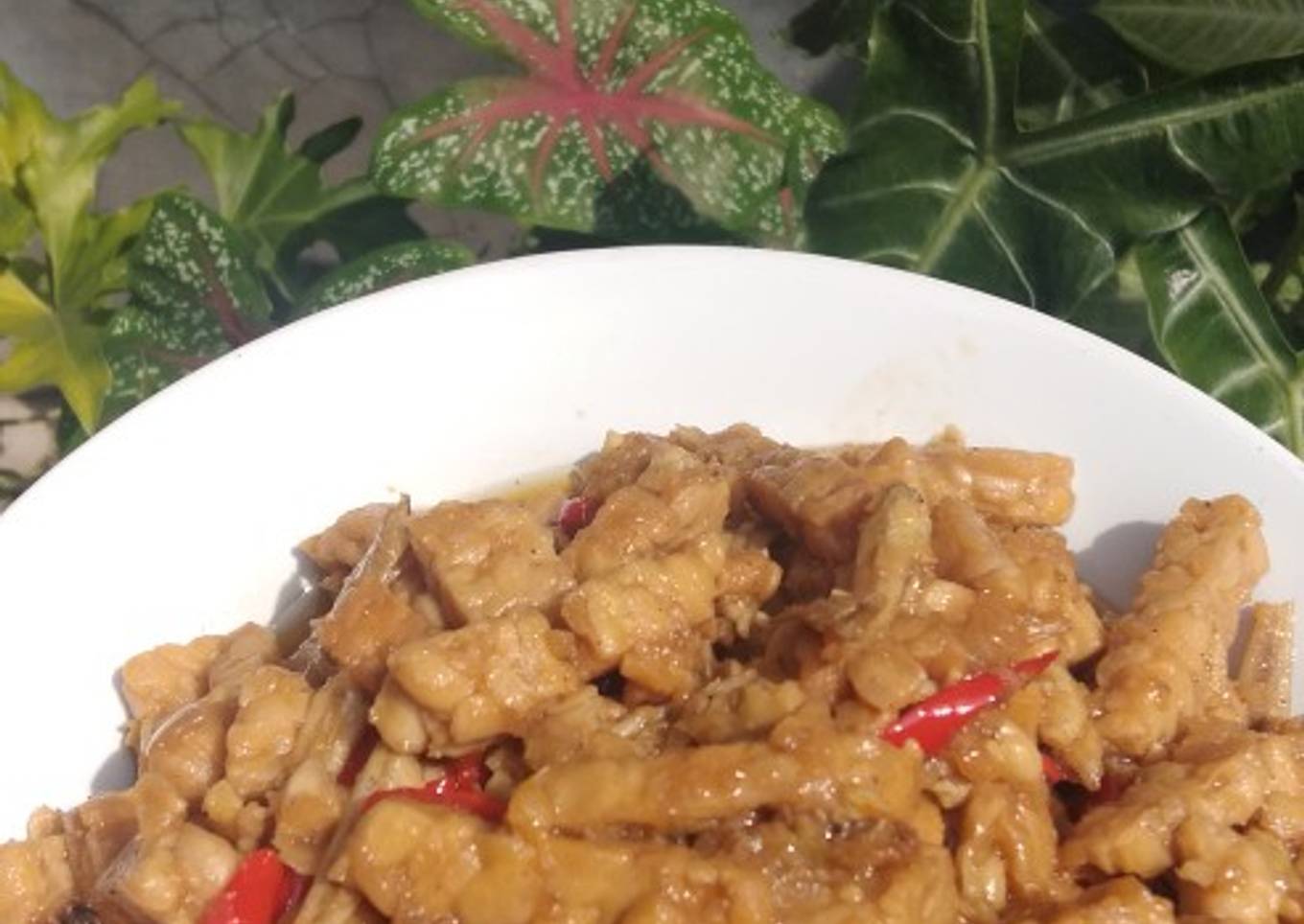 Oseng tempe cabai merah