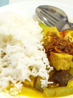 Foto resep Sayur Lodeh Fibercreme