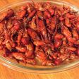 Southern crawfish 🦞