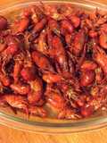 Southern crawfish 🦞