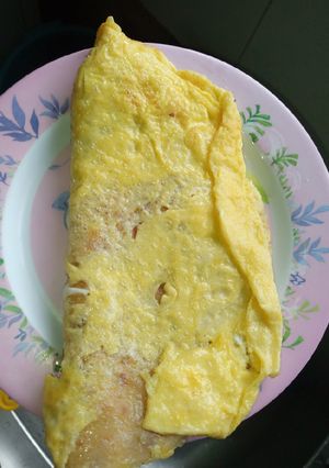 A picture of Egg sandwich with chapati.