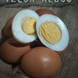 Telur Rebus Kilat Cuma 5 Menit